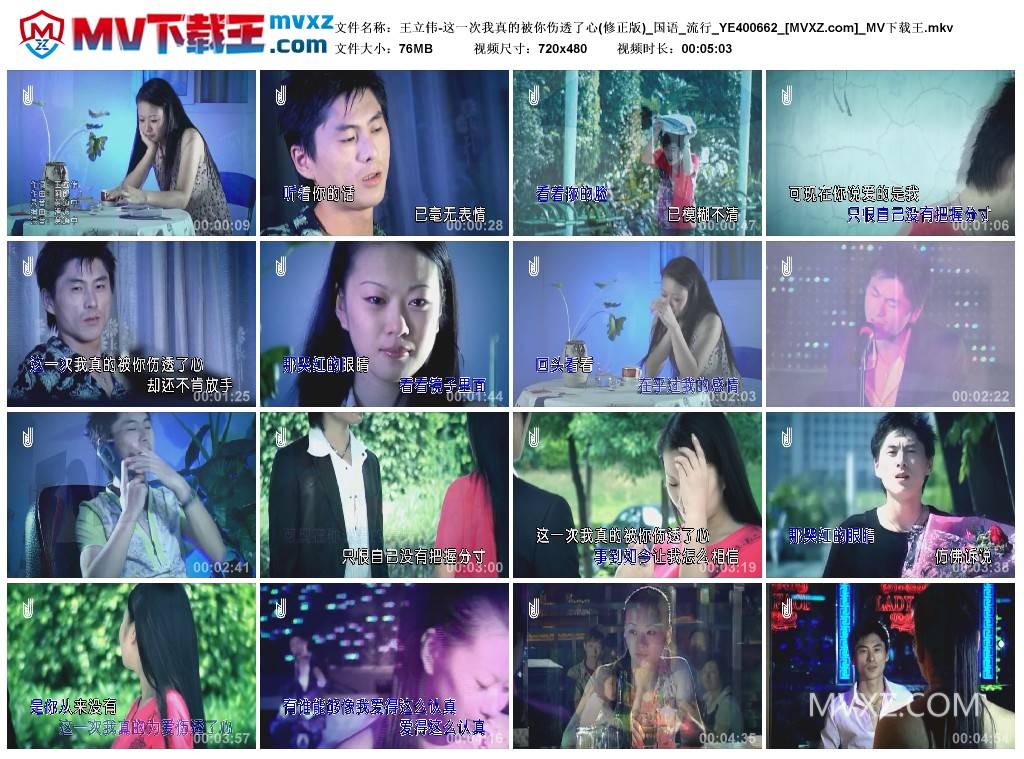 王立伟-这一次我真的被你伤透了心(修正版)_国语_流行_YE400662